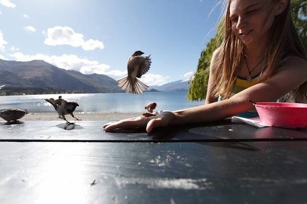 11. Удивительно