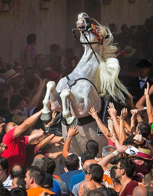 25. "İnsanlığa İsyan"