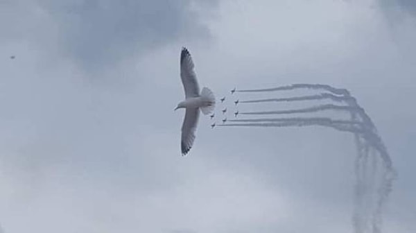 28. Шалунишка