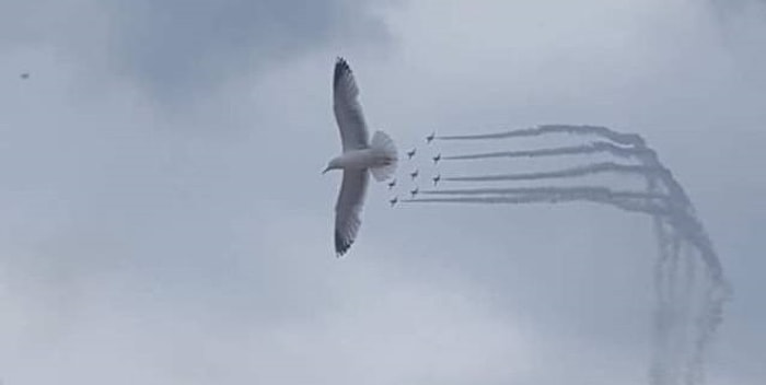 Когда удалось запечатлеть на камеру тот самый момент