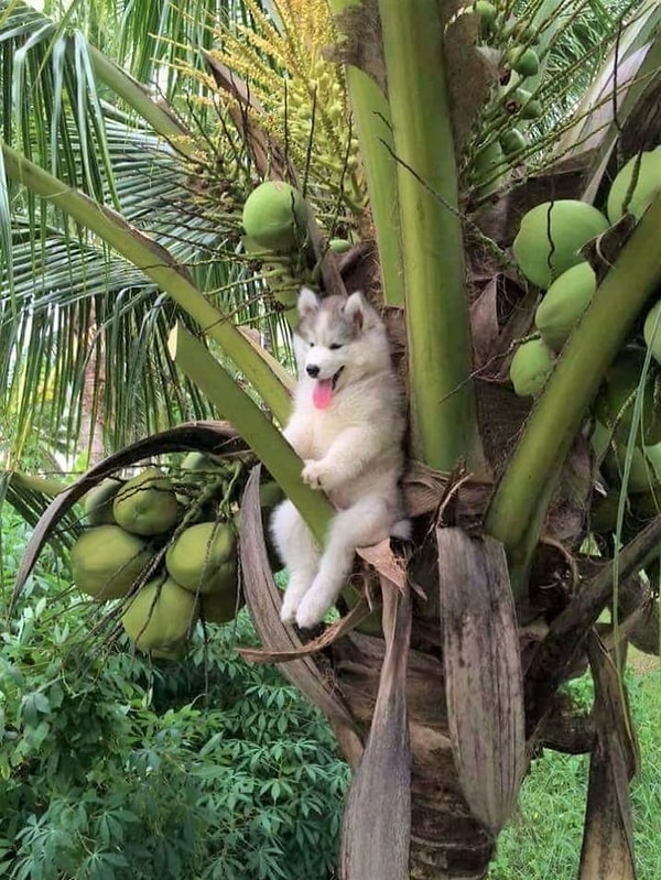 2. - Что я делал вчера ночью, что я проснулся здесь?..