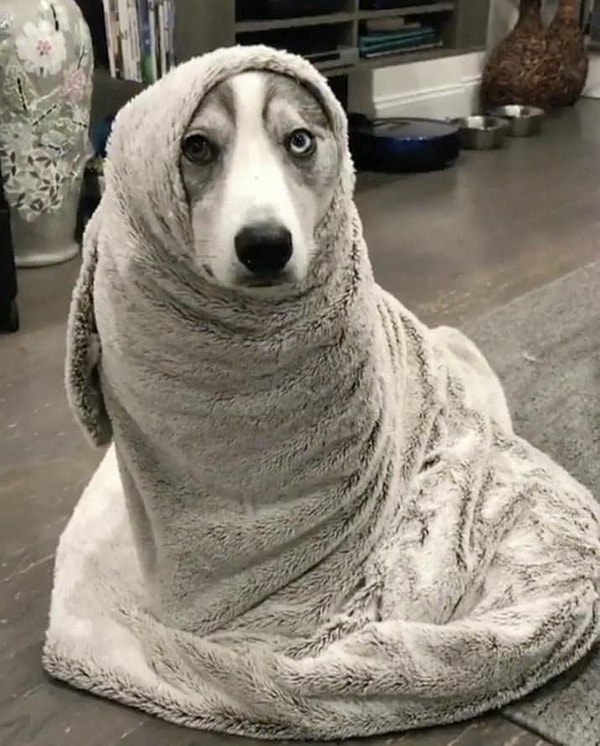 6. - Где мой кофе на подоконнике под стук дождя?..