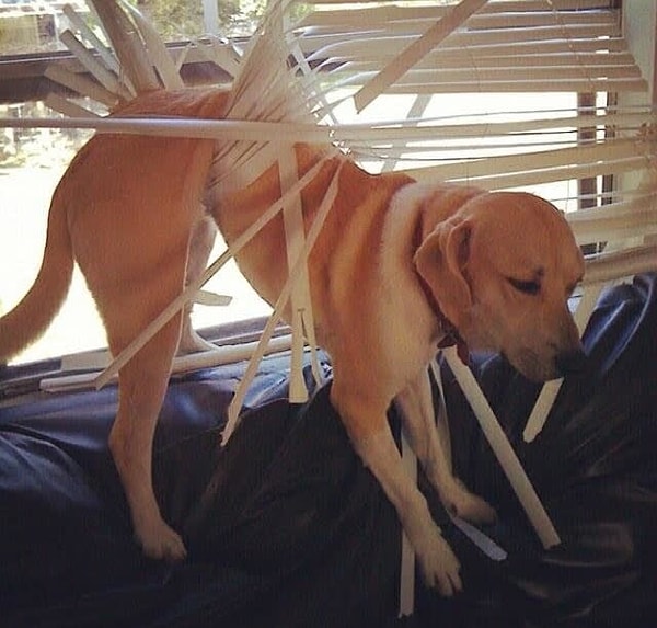 10. - Со шторами все было намного проще!! :(