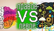 Тест: ответы на 9 вопросов помогут определить, какое полушарие мозга у вас доминирует