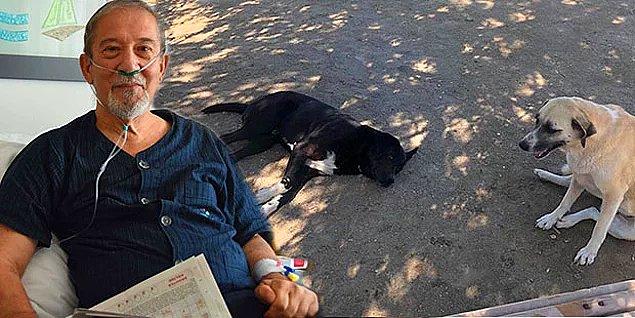 15. Vertigo hastası olan ve Çeşme'de denizde fenalaşan Yalvaç Aysu'yu her gün besleyip sevdiği sokak köpekleri kurtardı.