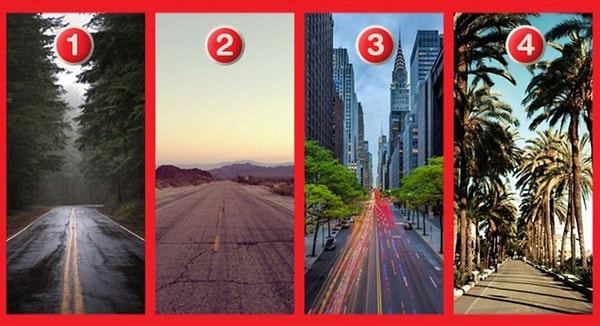 Дорога под каким номером вам по душе?