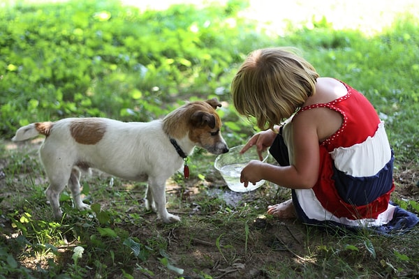 Вас любят за вашу заботливость!