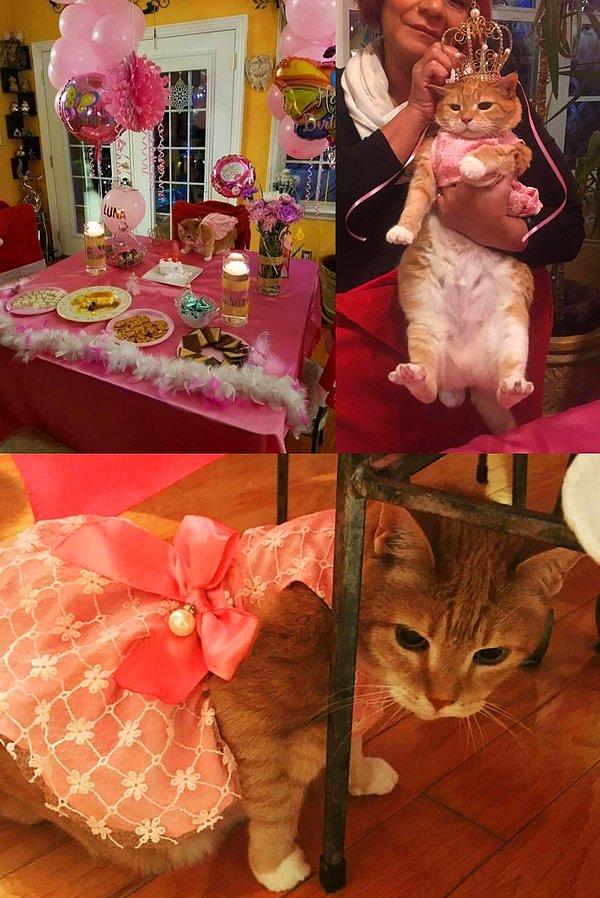 14. 15 yaşını bitiren kedilerine quinceañera (İspanyollarda ergenliğe giriş partisi) düzenleyen aile: