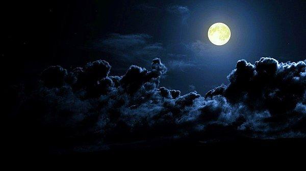 11. Kasım: Kunduz Ayı (Donmuş Ay)