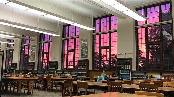 17. Böylesine harika bir gün batımını kütüphane camından görmeyi kim tahmin edebilirdi ki?