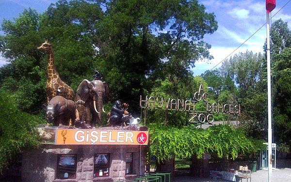 2. Atatürk Orman Çiftliği'ndeki hayvanat bahçesine gitmek.