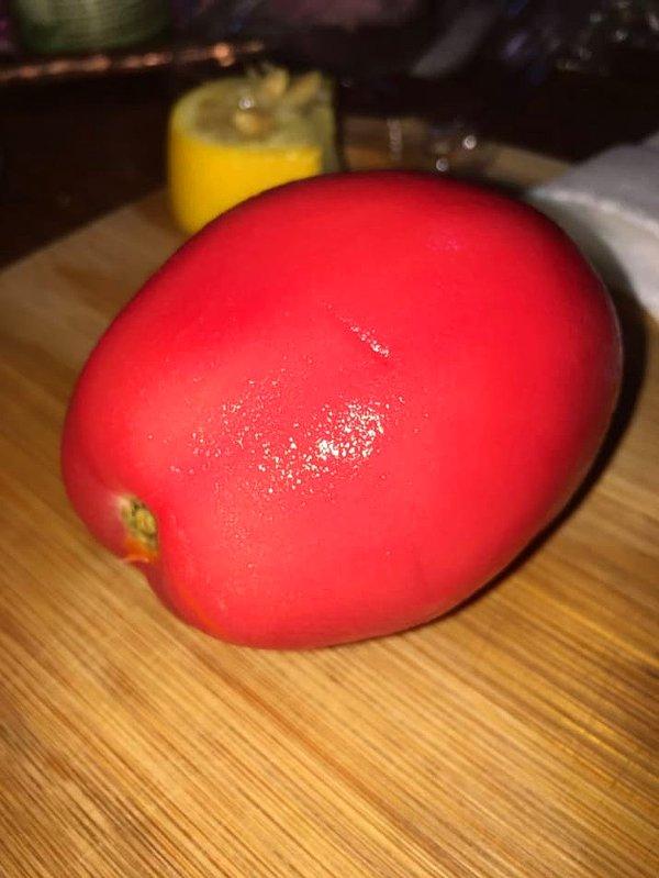 16. Uğraşılmış, didinilmiş ve soyulmuş bir domates!