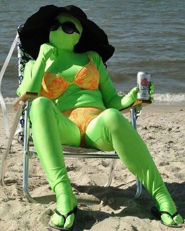 23. Морская черепашка по имени Наташка