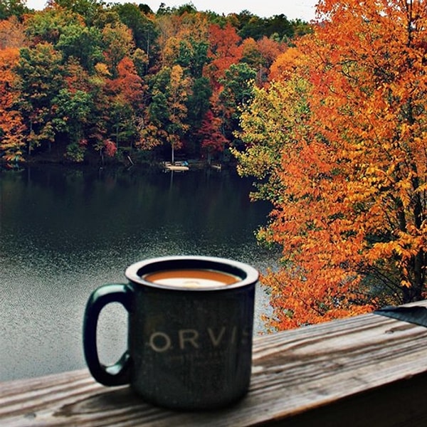 7. "Осень — последняя, самая восхитительная улыбка года"