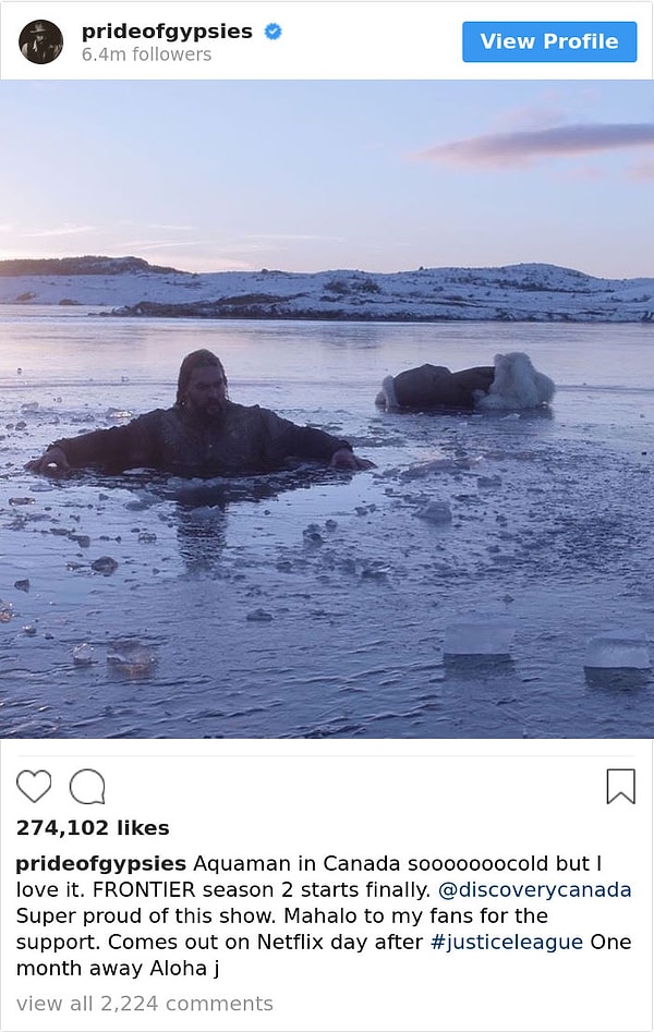 9. И не боится работать в тяжелых полевых условиях