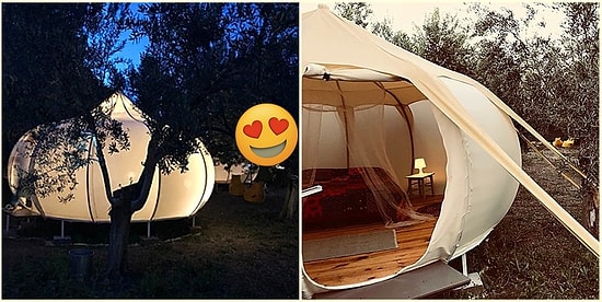 Doğanın Kalbinde Sincaplara Komşu Oluşuyla ve Zeytin Ağaçlarının Gölgesindeki Çadırlarıyla Masalsı Bir Yer: Kozluyalı