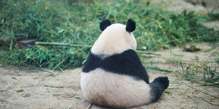 Kalbini Kıranlara Söyleyeceğin Son Cümle Ne?