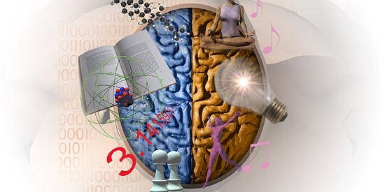 Тест на общие знания, последний вопрос которого смогут увидеть лишь единицы
