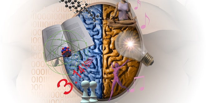 Тест на общие знания, последний вопрос которого смогут увидеть лишь единицы
