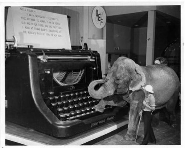 3. Просто слон, использующий гигантскую пишущую машинку