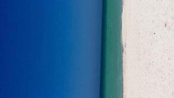 4. А как думаете вы? (Не волнуйтесь, мы обязательно озвучим правильный ответ 😉)