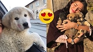 Dünya Böyle İnsanların Hatrına Dönüyor! Sokak Hayvanlarını Mutlu Etmeyi Kendine Hayat Felsefesi Edinen Güzel Yürekli Kadın