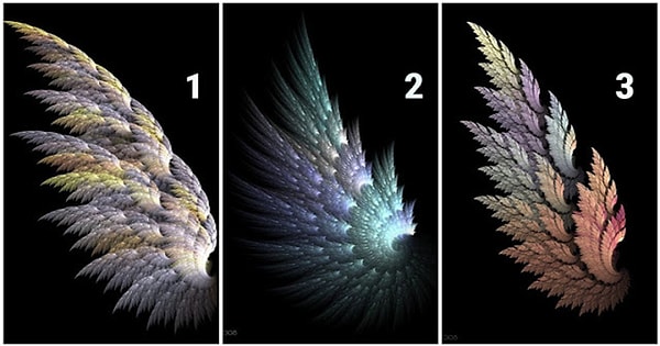 Выберите крыло: