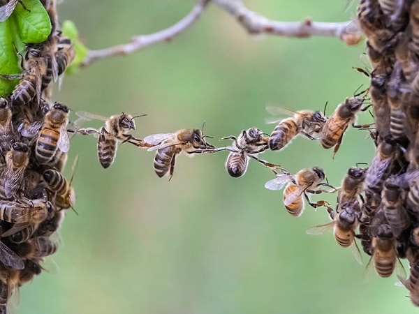 6. В какой степени это фото вас беспокоит?