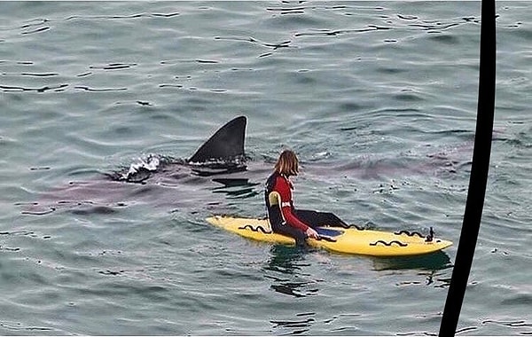 17. Когда зашел не в тот район