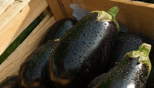 5. Что скажете насчет баклажанов?