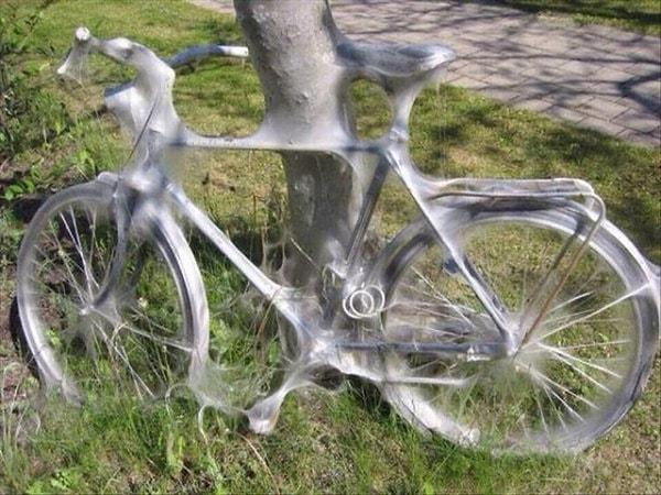 16. Örümcekler tarafından ele geçirilen bir bisiklet.