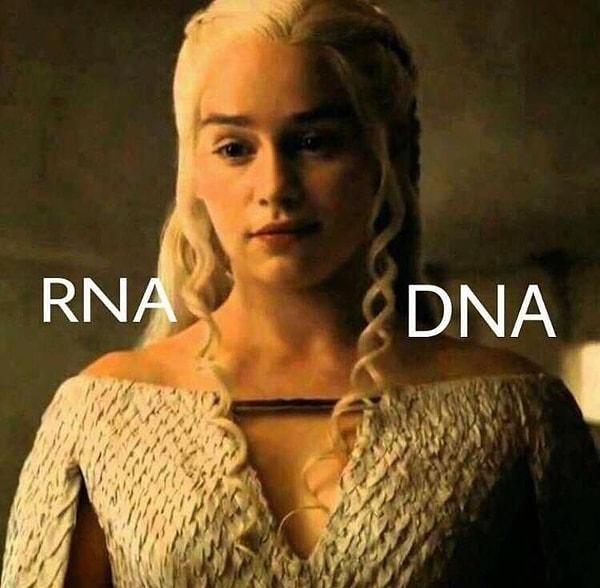 1. RNA ile DNA Arasındaki Fark