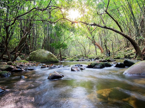 3. Выберите воду: