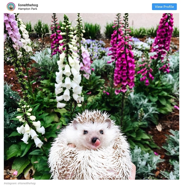 6. Кокетка от старой жилетки 😘