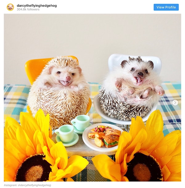 11. Соседские посиделки за чашечкой чая