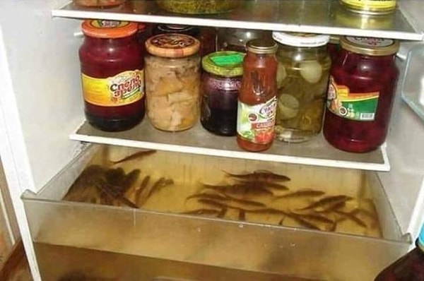 19. А это что ещё такое? 😳