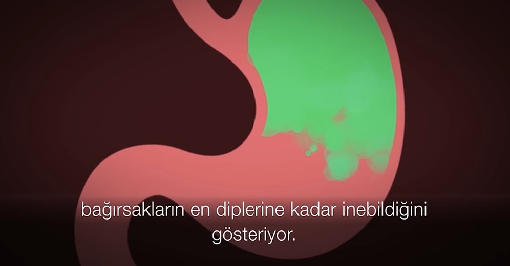 Neden Geğiririz?