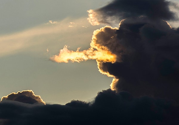 14. А мы-то думали, что драконов не существует!