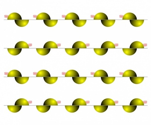 8. Являются ли эти линии параллельными?
