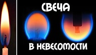 Бесполезные факты всегда самые интересные. Не пропустите новую подборку