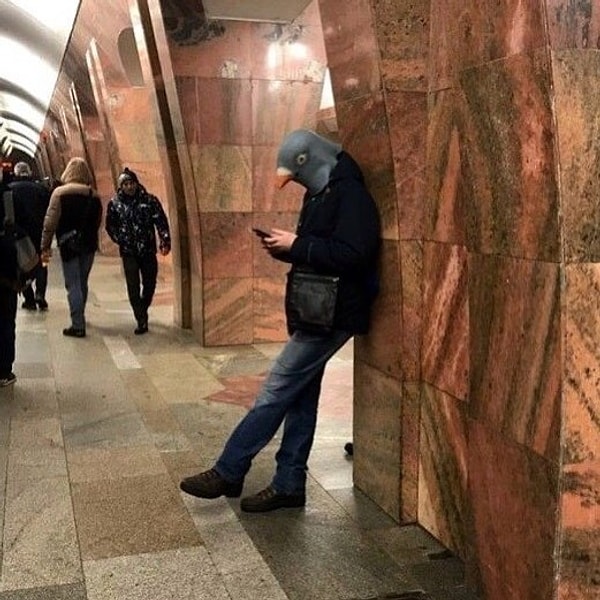 14. Курлык-курлык