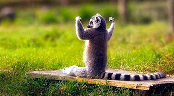 Обратите свою энергию в полезное дело.