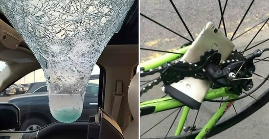 Когда удача повернулась седалищем: фото, на которых разыгралась настоящая драма