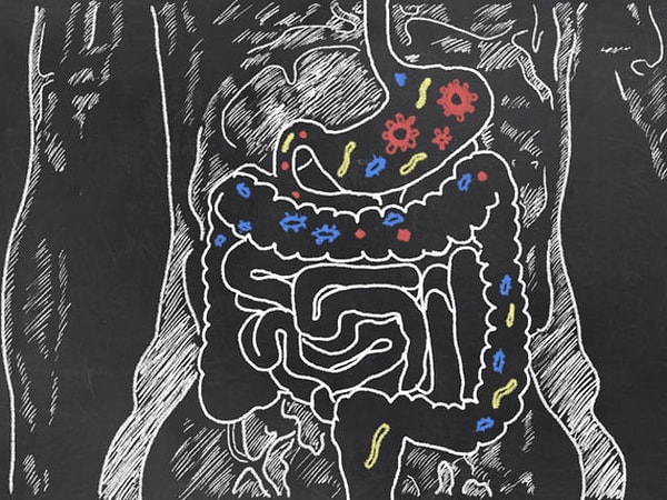 7. Что вы едите на завтрак?