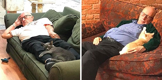 Вы будете в восторге от 75-летнего волонтёра, который отдыхает вместе с кошками из местного приюта