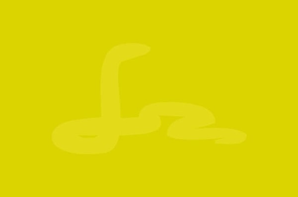 5. Перейдем к более сложным вопросам. Что здесь изображено?