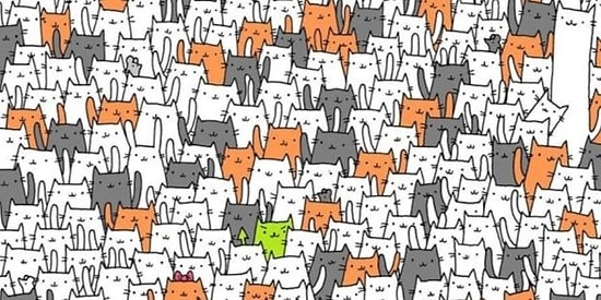 А был ли кролик? Только самые внимательные смогут найти на этих картинках спрятанных животных и предметы