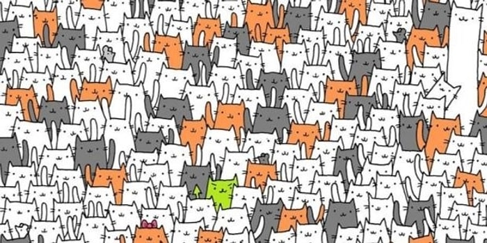 А был ли кролик? Только самые внимательные смогут найти на этих картинках спрятанных животных и предметы