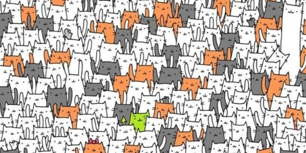 А был ли кролик? Только самые внимательные смогут найти на этих картинках спрятанных животных и предметы