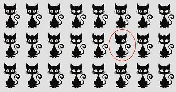 А я вам подмигиваю.